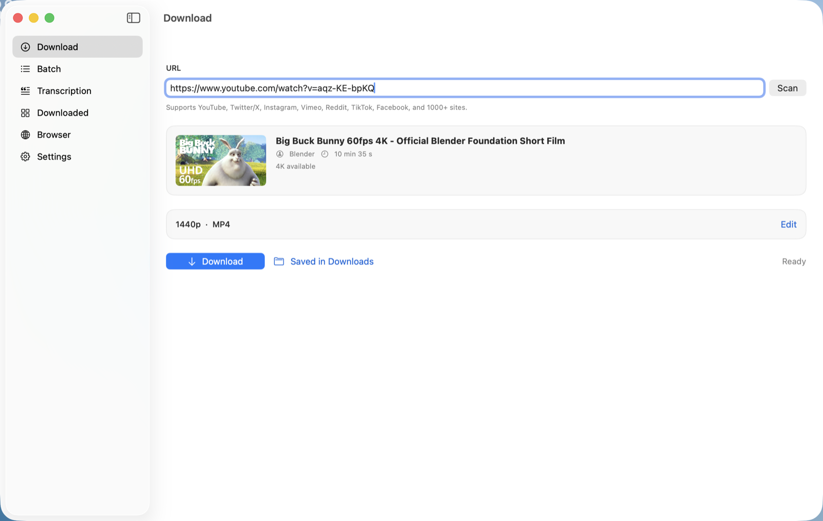 Yaniko Video Downloader — a pasted link showing the video&rsquo;s title, channel, length and quality, ready to download