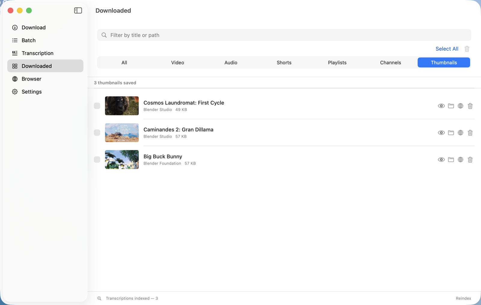 The Yaniko Downloaded tab, Thumbnails filter: three saved cover images